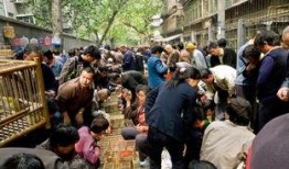 西安集市爆料事件视频,视频揭露惊人一幕，网友热议不断